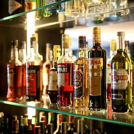 申普酒店 博宾根