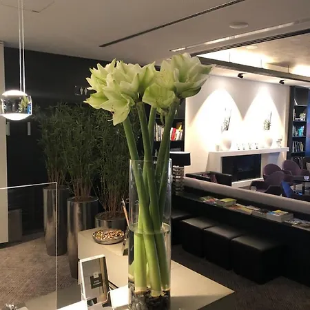 酒店 申普酒店 博宾根